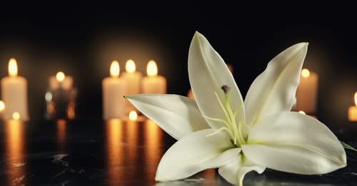 John Sterling New York, NY Death-Obituary