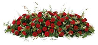Gabriel Johnson Car Accident Quesnel, BC Canada Death